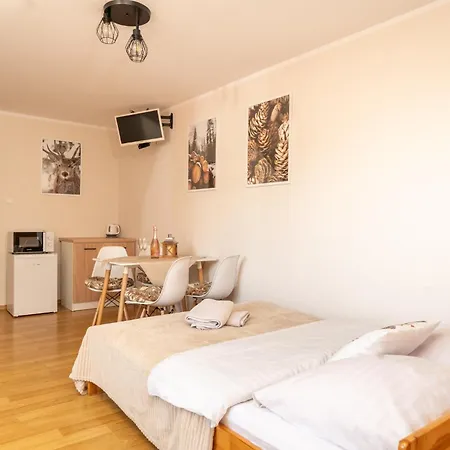 Willa Aleksandrzak * Zakopane