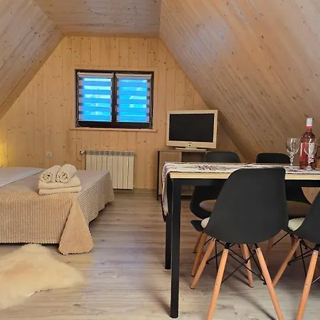 Aleksandrzak ザコパネ