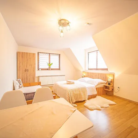 Aleksandrzak-apart Apartment Zakopane