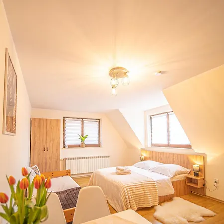 Aleksandrzak-apart Apartment Zakopane