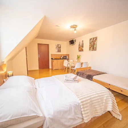 Aleksandrzak-apart Apartment