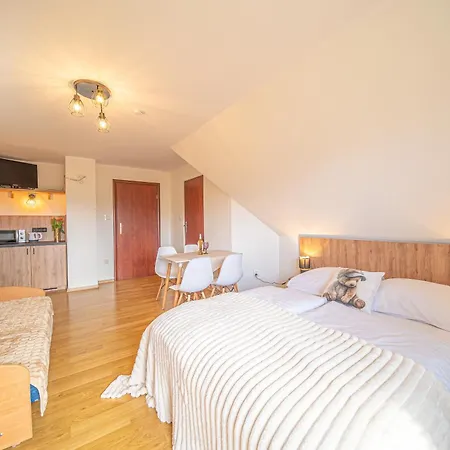 Apartment Aleksandrzak-apart