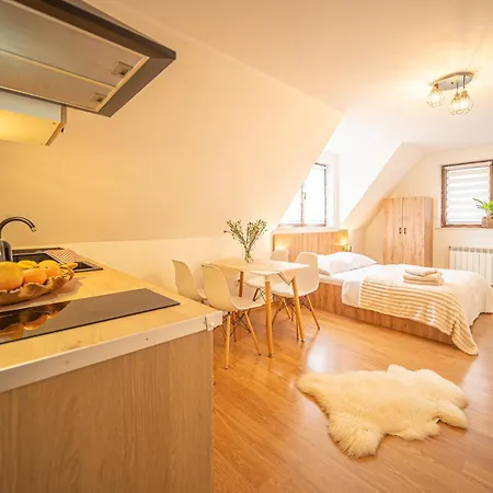 Apartment Aleksandrzak-apart