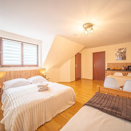 Aleksandrzak-apart Apartment *