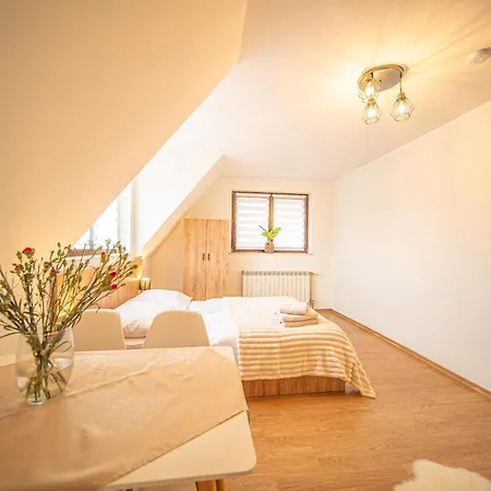 Apartment Aleksandrzak-apart Zakopane