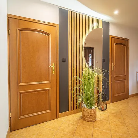 Aleksandrzak-apart Apartment