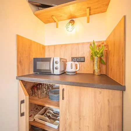 Apartment Aleksandrzak-apart Zakopane