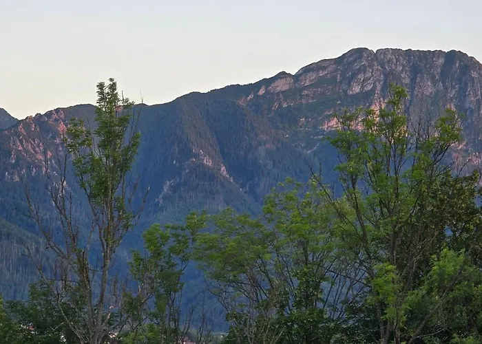 Aleksandrzak-apart * Zakopane