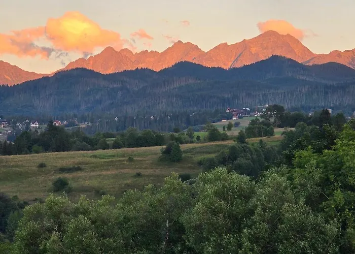 Aleksandrzak-apart *